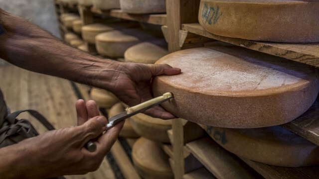 Fromage à la coupe, pasteurisé et lait cru
