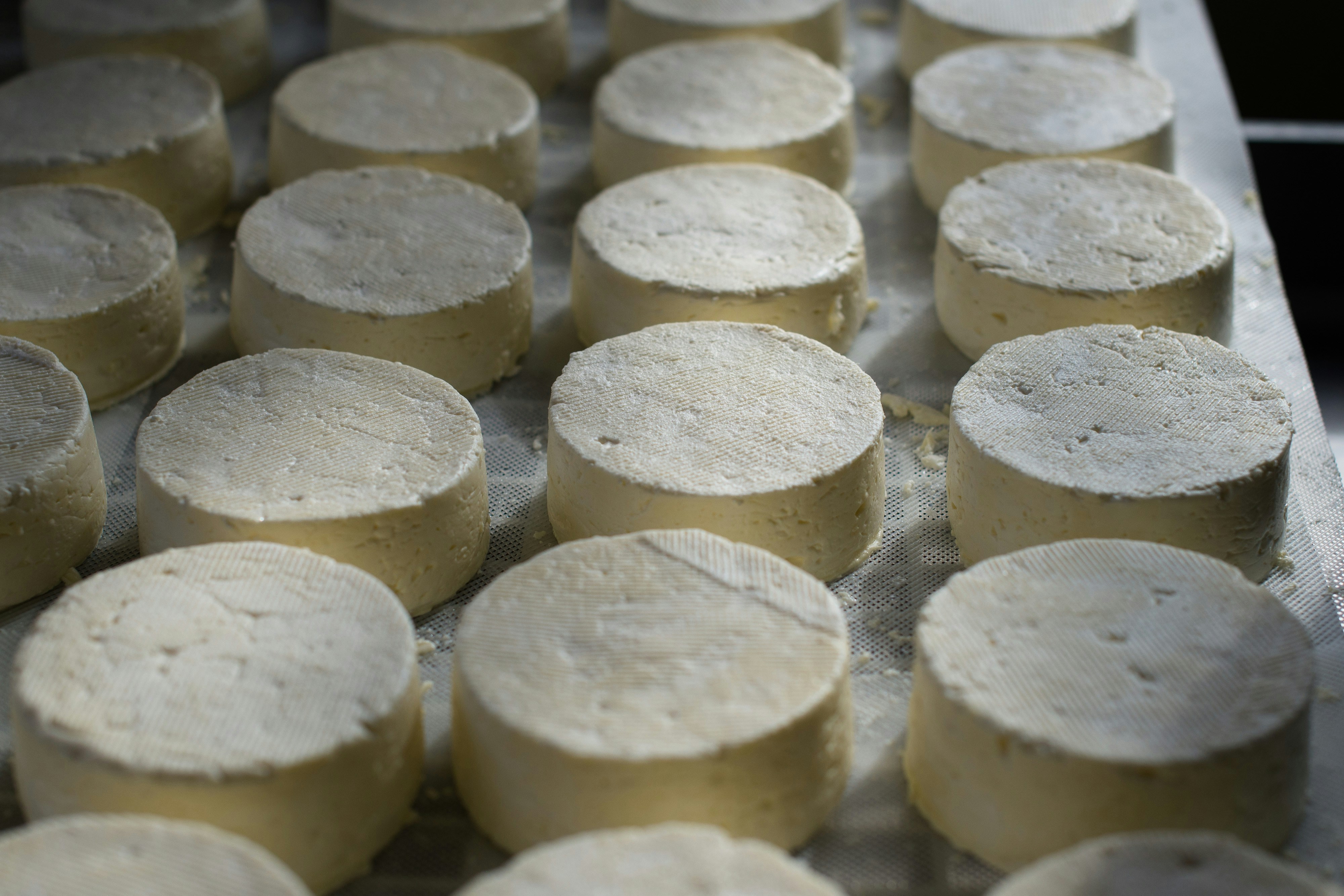 Produits laitiers artisanaux