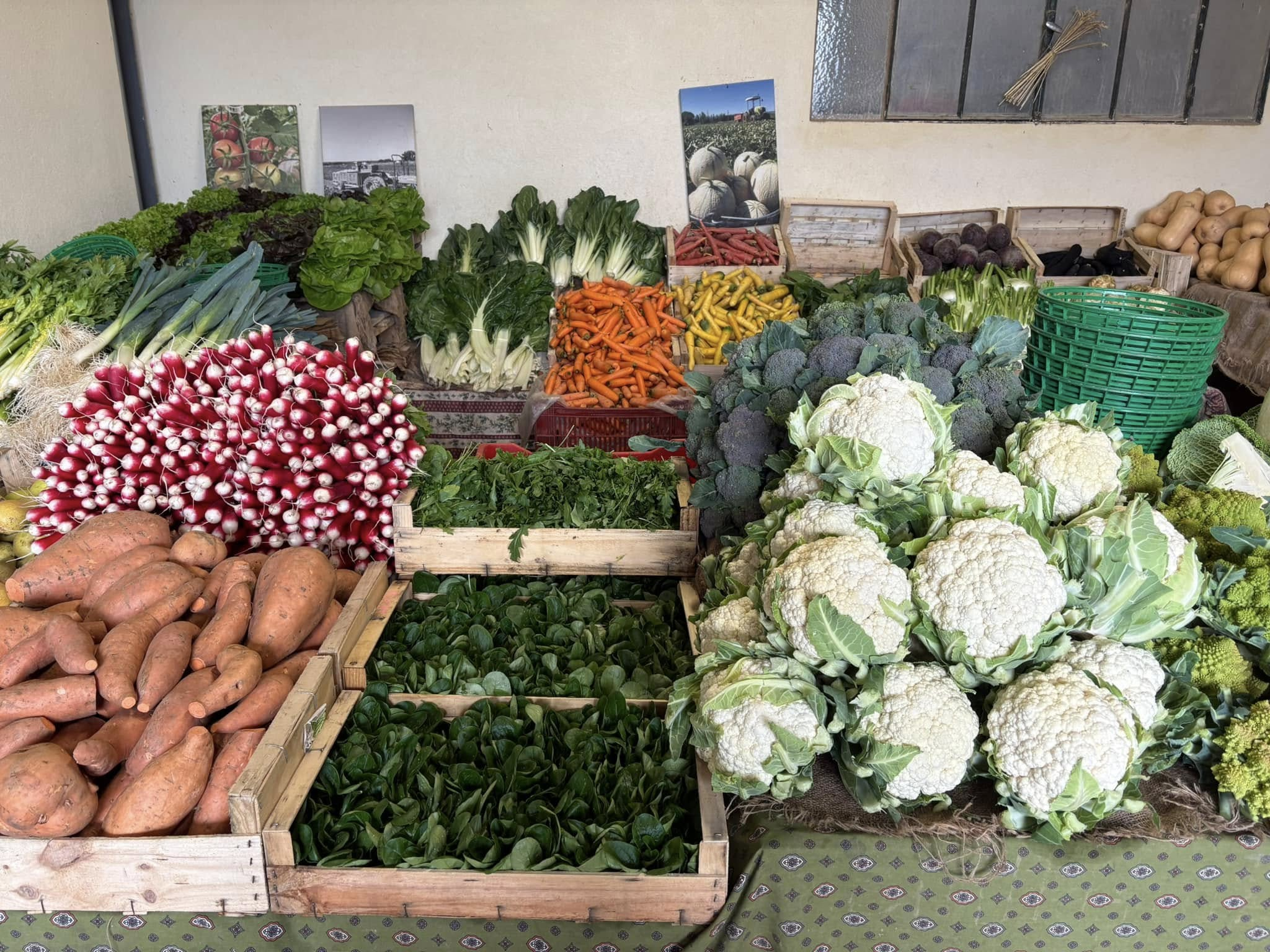 Fruits et légumes frais