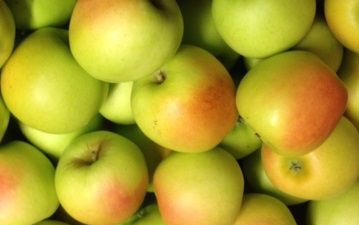 Pommes locales de qualité récoltées à juste maturité