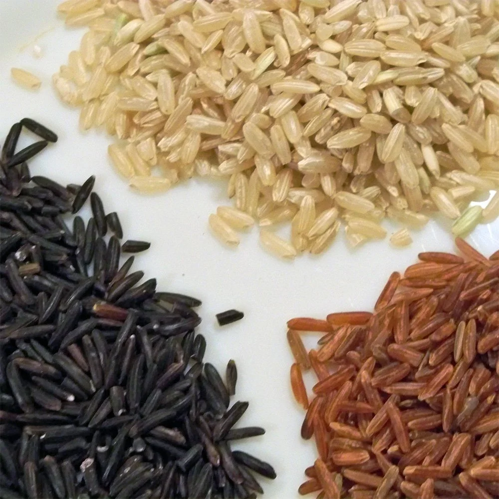 Riz de camargue IGP